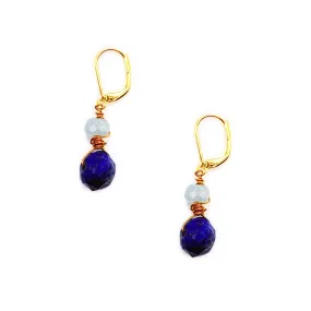 Blue Dangle Earrings