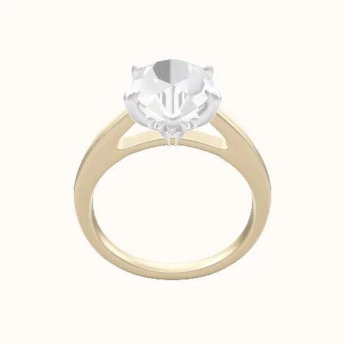 Cathedral Engagement Ring With Front set gallery Head