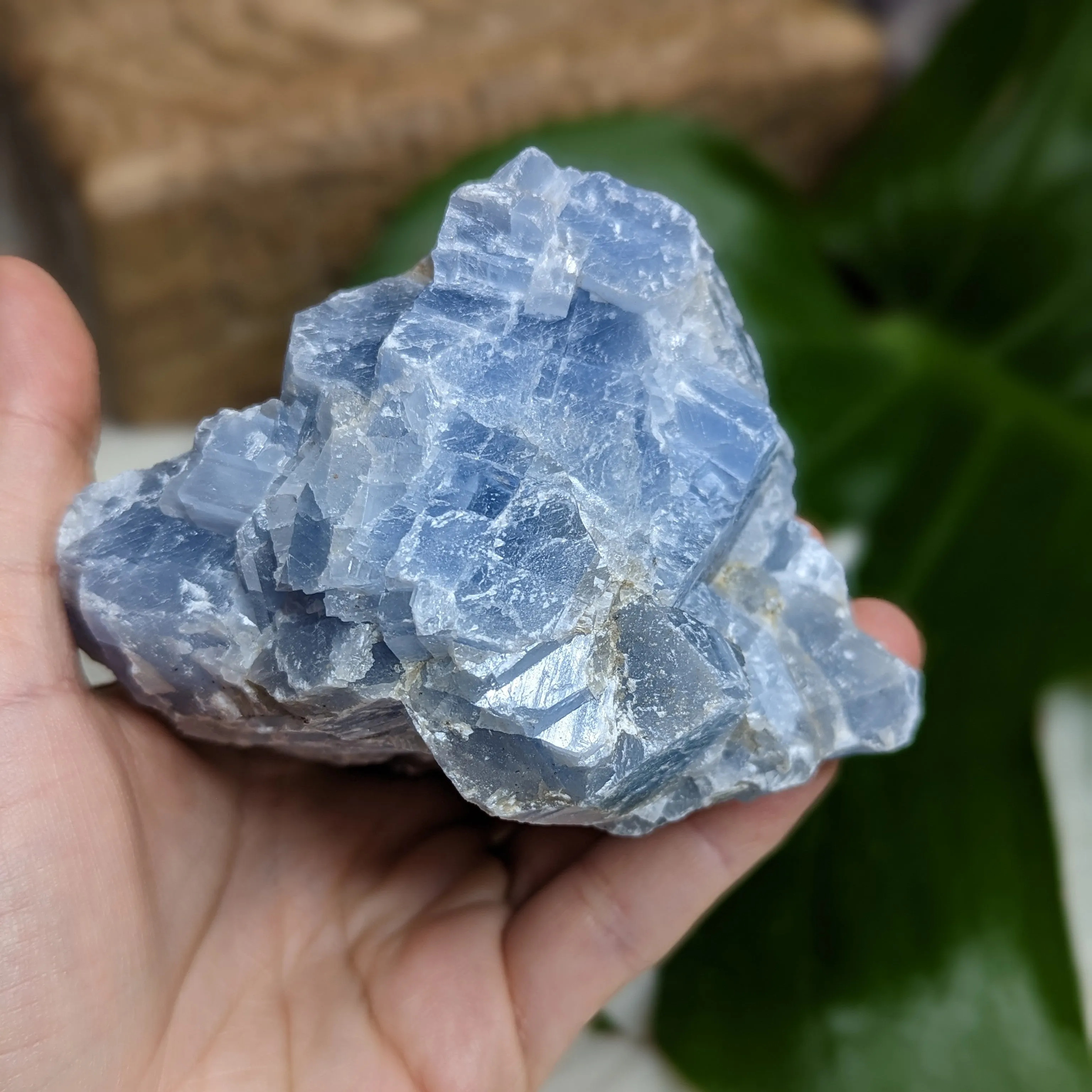 Chunky Deep Blue Raw Calcite Large Free Form Specimen from Mexico