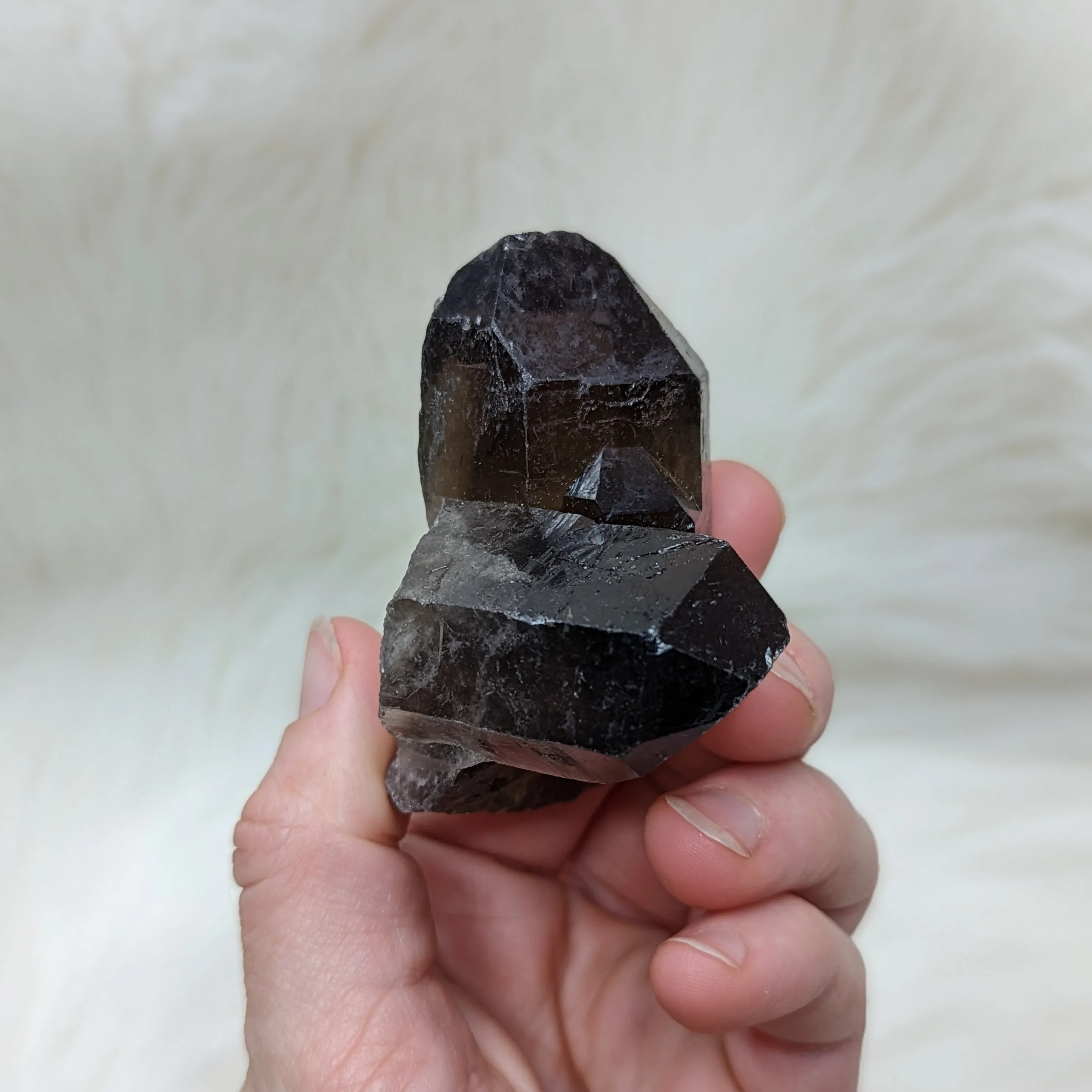 Chunky, Perpendicular double terminated Smoky Quartz Points