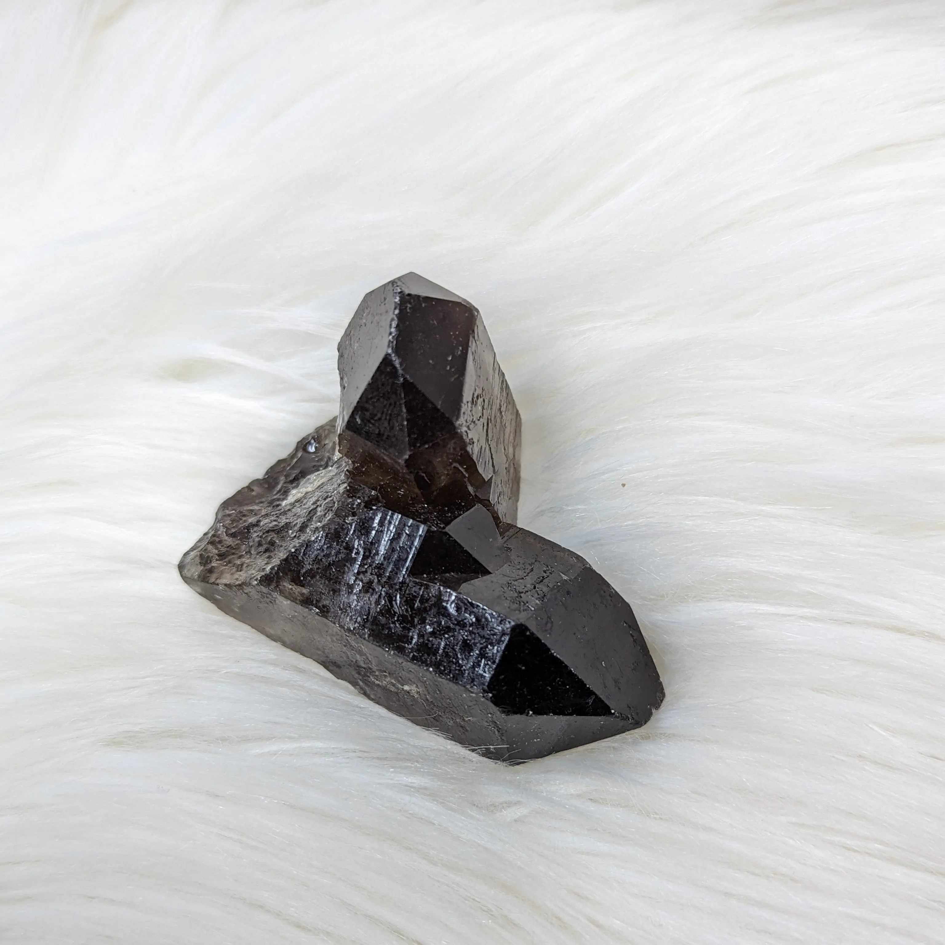 Chunky, Perpendicular double terminated Smoky Quartz Points