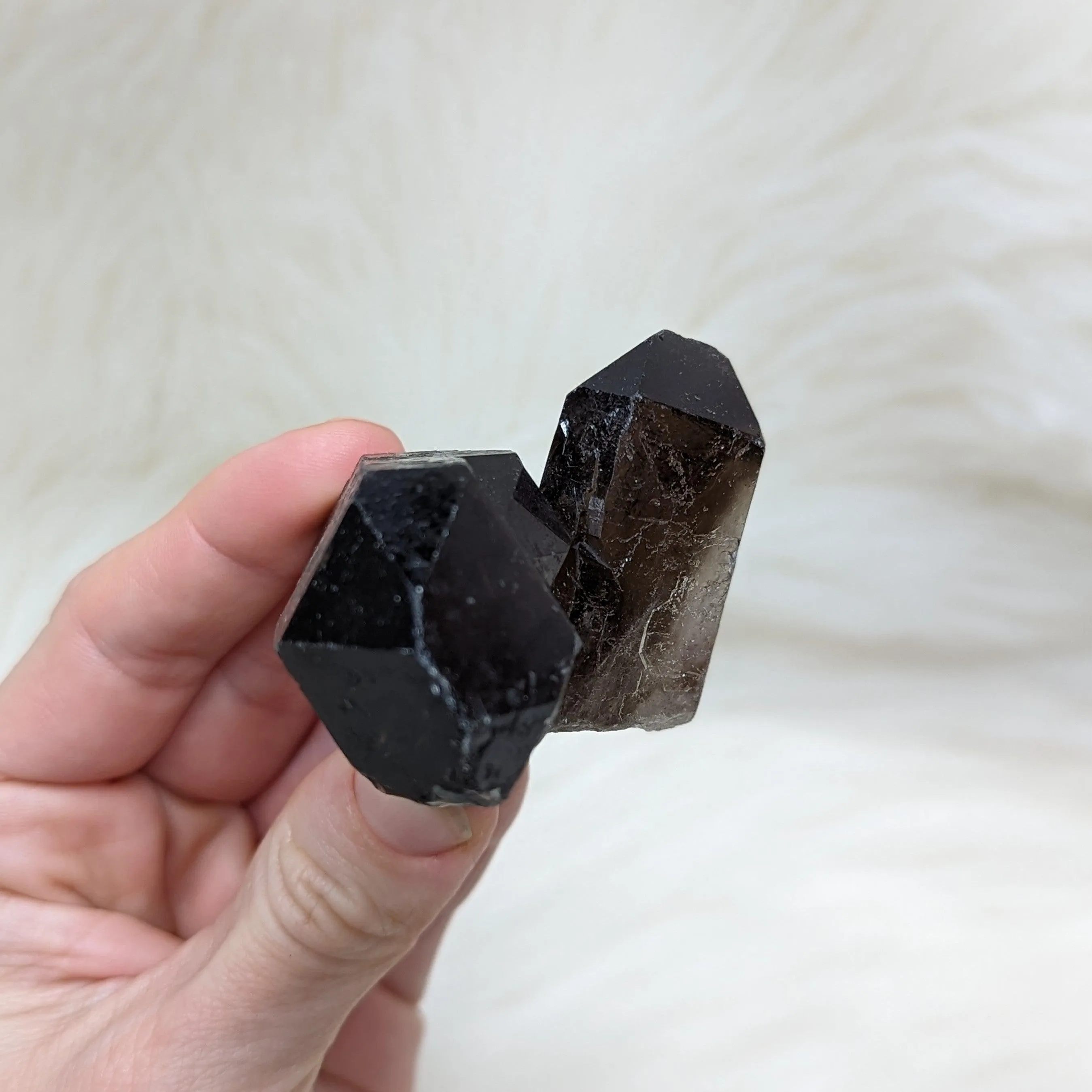 Chunky, Perpendicular double terminated Smoky Quartz Points